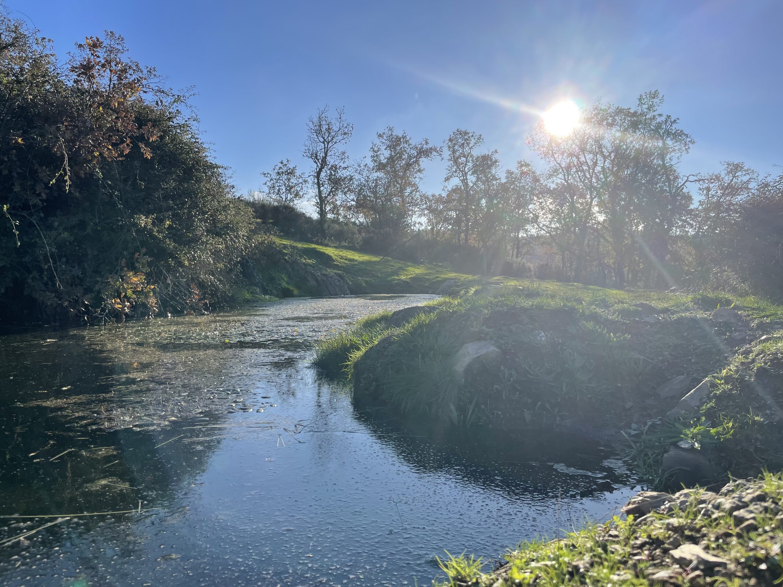 Waterpoel op onze finca